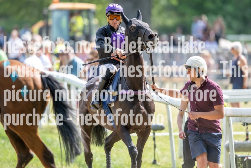 20230617-145708-DSC_3603