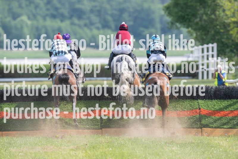 20230617-150652-DSC_3921