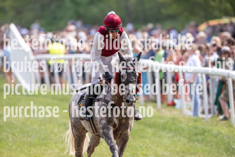20230617-151000-DSC_4341