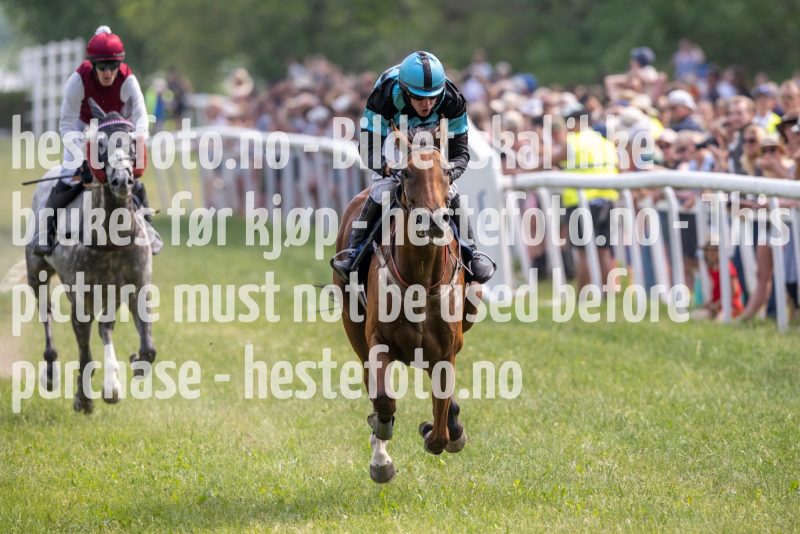 20230617-150958-DSC_4316