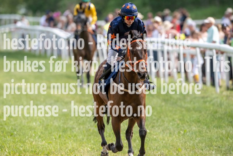 20230617-155301-DSC_5274