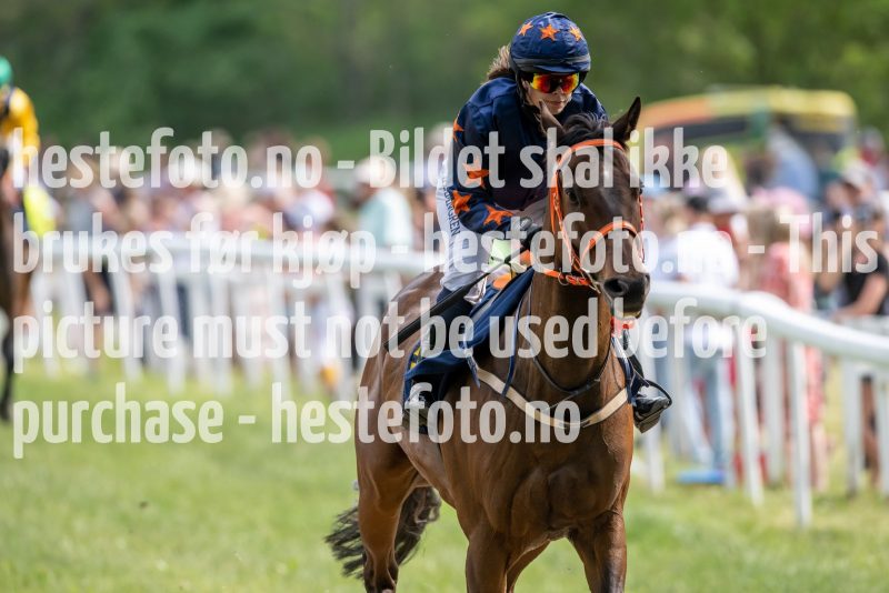 20230617-155302-DSC_5290