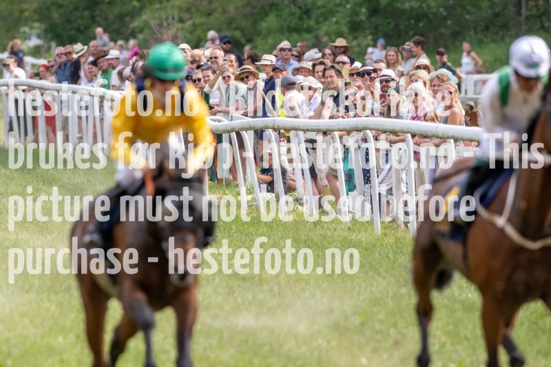 20230617-160126-DSC_5502