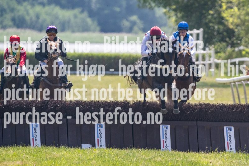 20230617-124810-DSC_9838