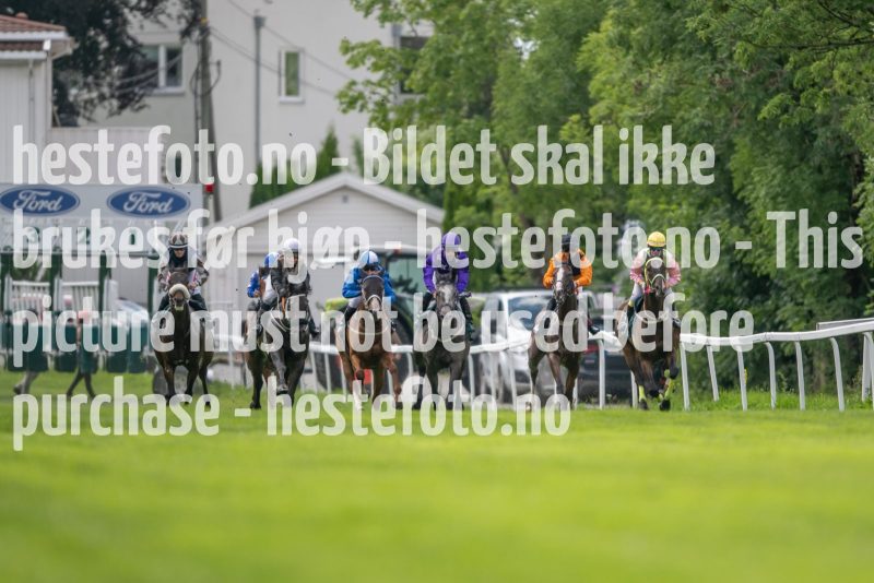 20230705-131335-DSC_6839