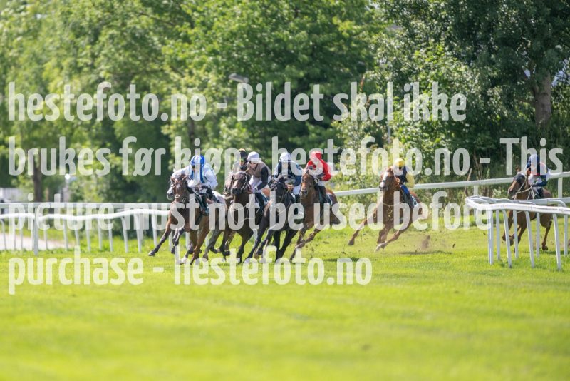 20230705-133942-DSC_7024