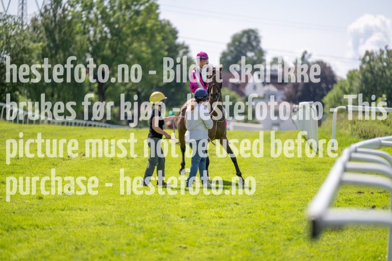 20230705-135641-DSC_7313