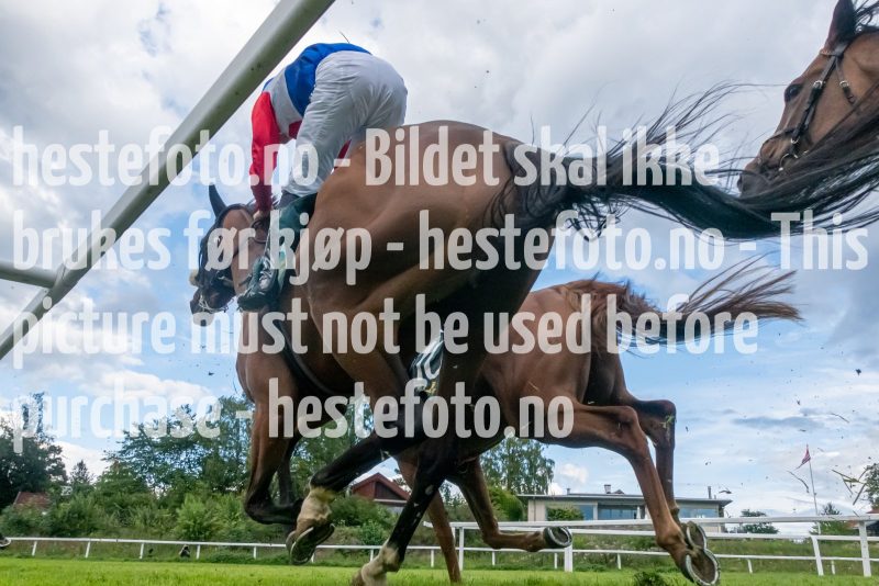 20230720-181806-DSD07598