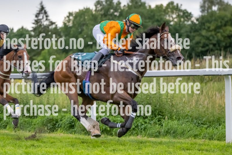 20230720-200109-DSC2041