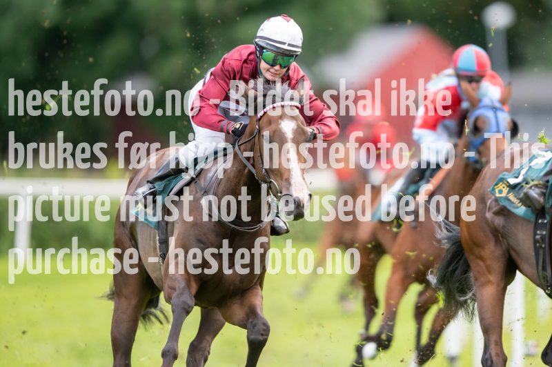 20230720-181828-DSC_1315