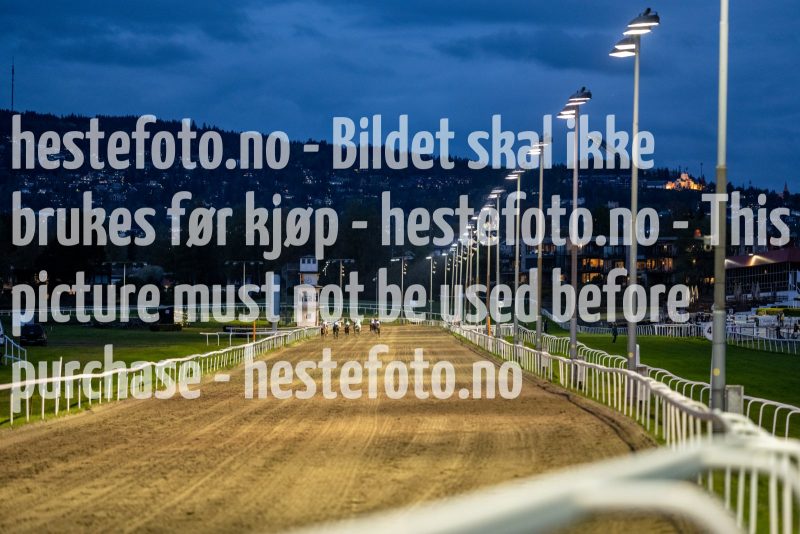 20210916-200020-DSC5875