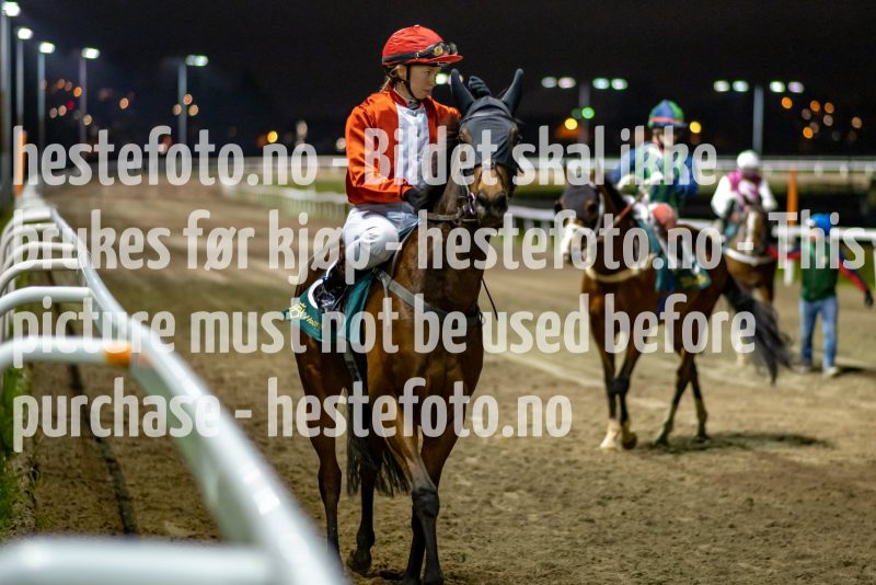 20211028-184043-DSC4651