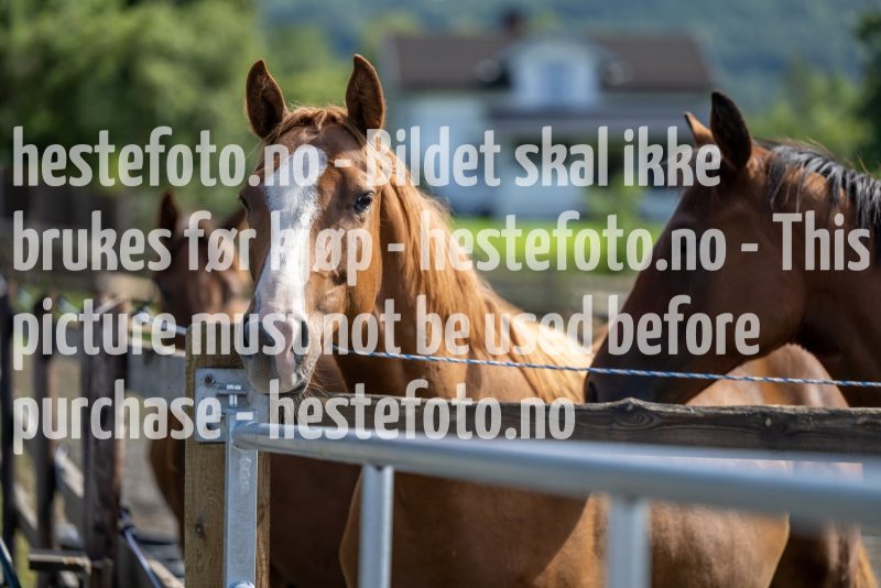 20230810-114924-DSC_6709