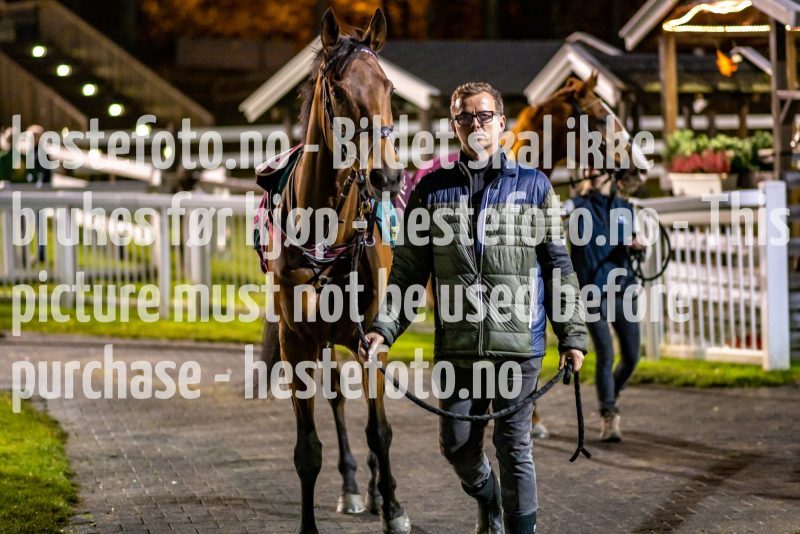 20211028-185403-DSC4823