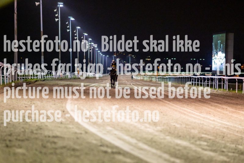 20211028-194842-DSC5023