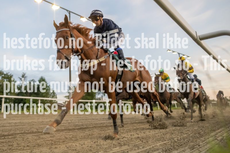 20230831-200341-2023-08-31-137