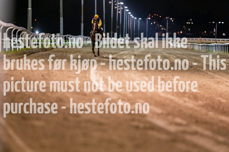 20211028-195203-DSC5114