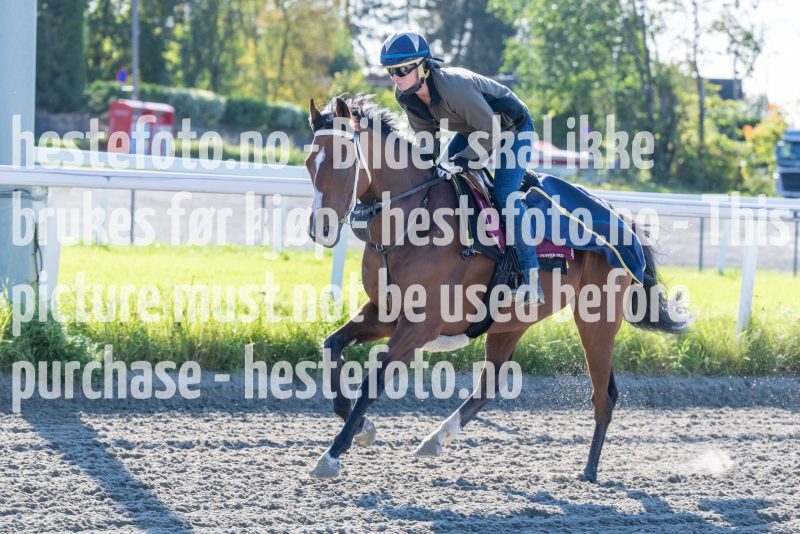20230924-115033-DSC_4239