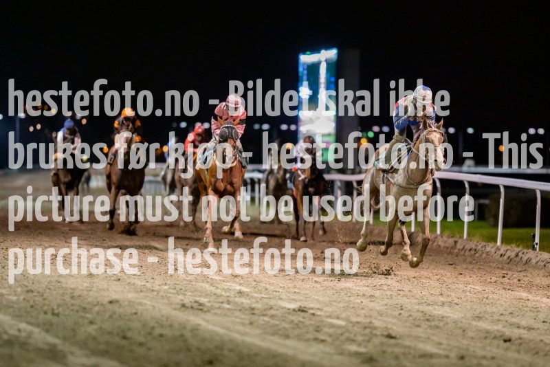 20211028-202409-DSC5331