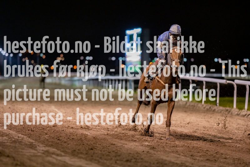 20211028-202414-DSC5346