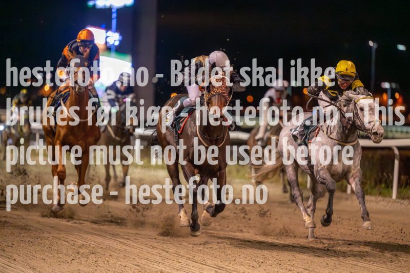 20231026-203757-DSC_5910
