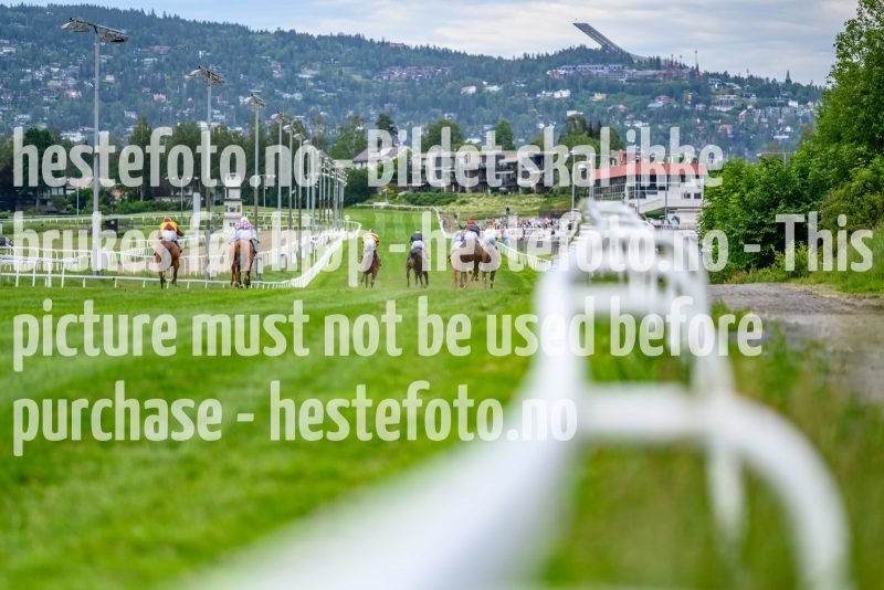 20210626-190221-DSC1339