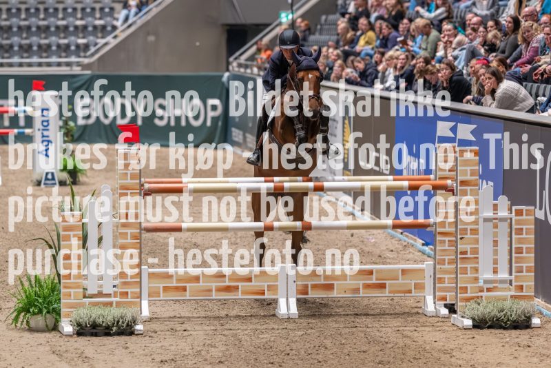 20231013-193646-212N-DSC_8644
