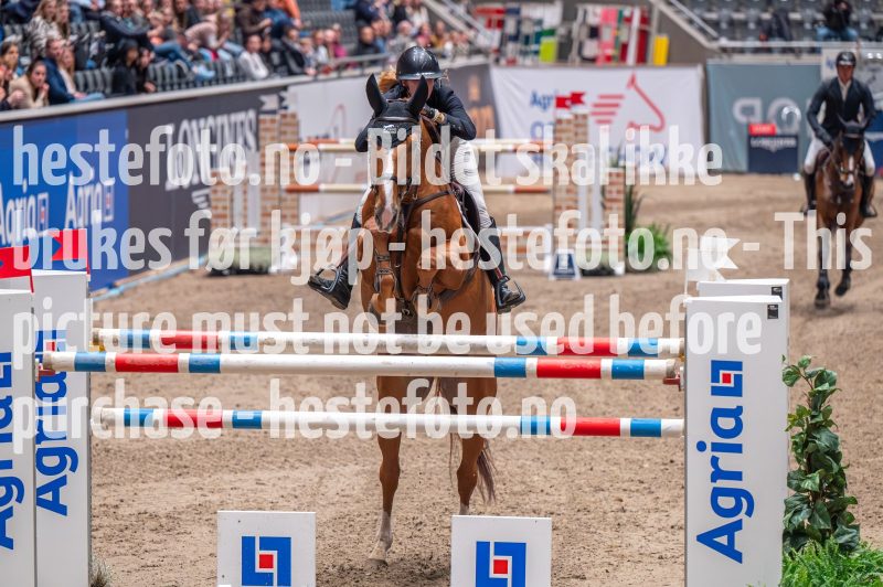 20231013-193949-DSC_6093