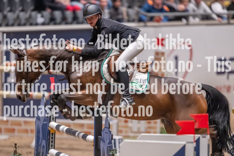 20231013-215208-214N-DSC_3231