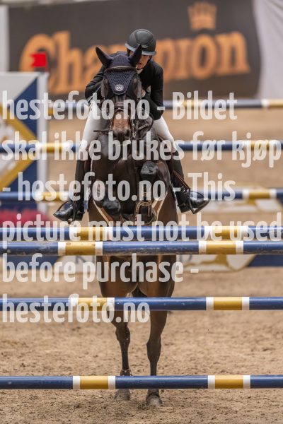 20231013-215525-214N-DSC_3582
