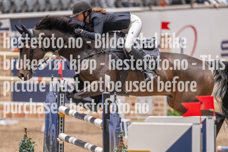 20231013-220211-214N-DSC_3698