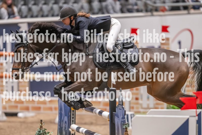 20231013-220211-214N-DSC_3699