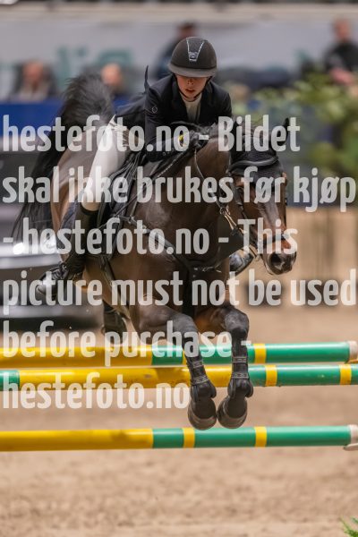20231013-220302-214N-DSC_3761
