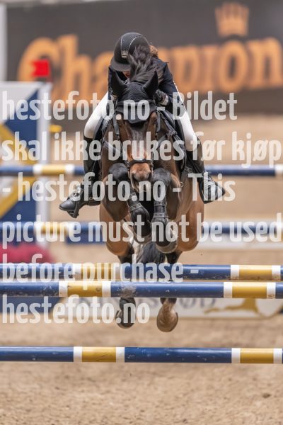 20231013-220333-214N-DSC_3818