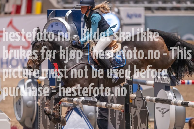 20231013-221150-214N-DSC_4597