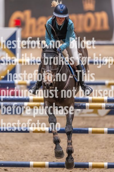 20231013-221245-214N-DSC_4761