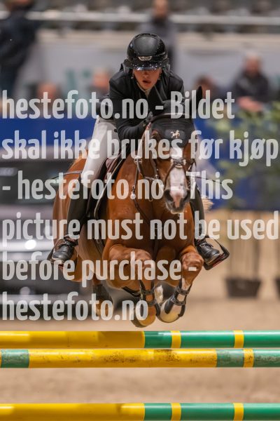 20231013-221416-214N-DSC_4909
