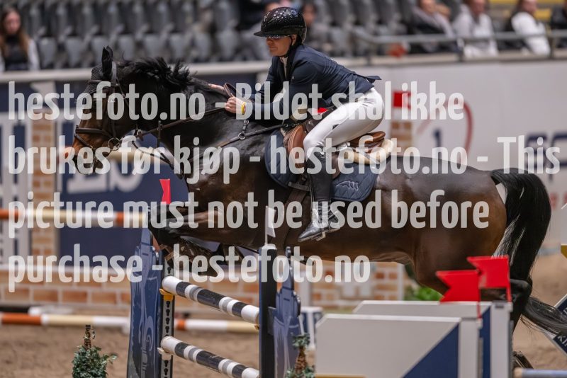 20231013-222436-215N-DSC_6008