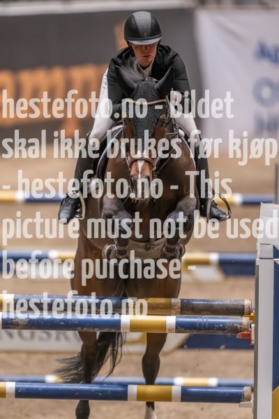 20231013-222934-215N-DSC_6541