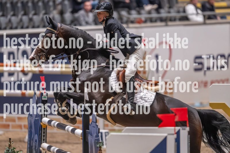 20231013-223058-215N-DSC_6662