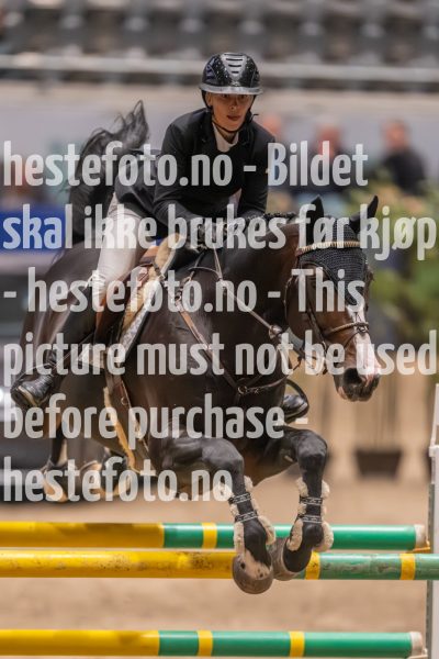 20231013-223128-215N-DSC_6733
