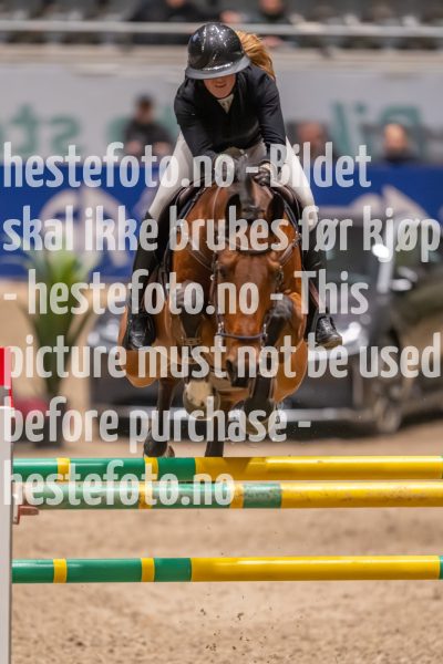 20231013-223604-215N-DSC_7073