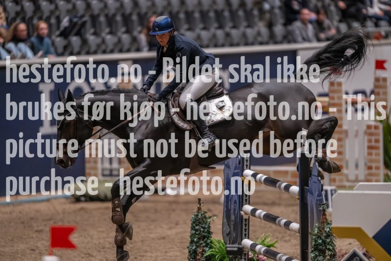 20231013-224926-215N-DSC_8591