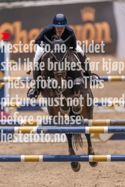 20231013-225019-215N-DSC_8724