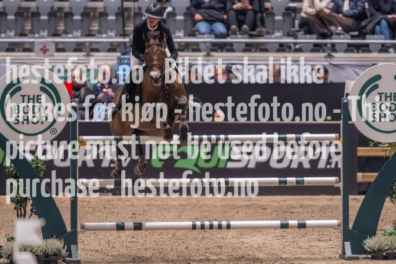 20231013-225122-215N-DSC_8838