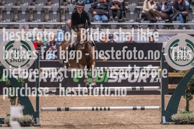 20231013-225122-215N-DSC_8841