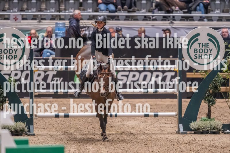 20231013-225122-215N-DSC_8847