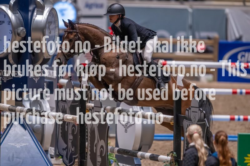 20231013-225126-215N-DSC_8862