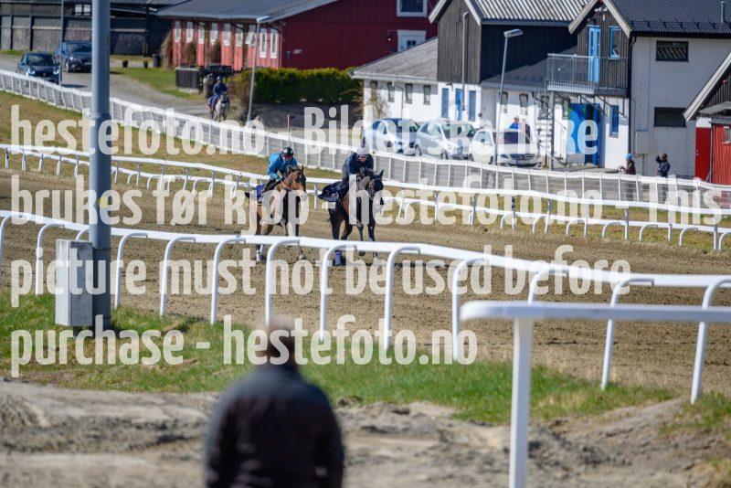 20210424-112822-DSC6665