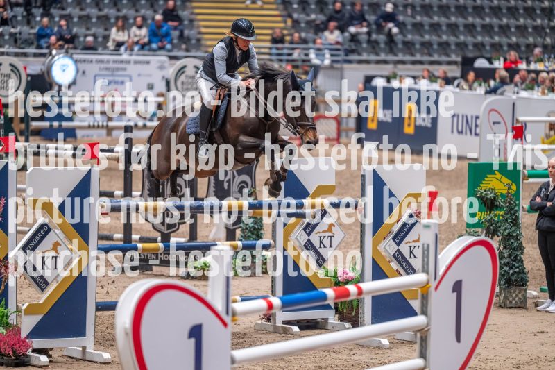 20231013-220812-DSC_8252